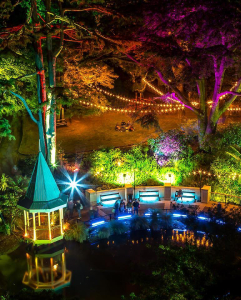 Firefly Festoon Creates Gardens Magic